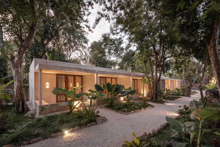 Habitaciones de Casona Los Cedros al atardecer, de líneas contemporáneas, entre los árboles y las plantas del jardín tropical.