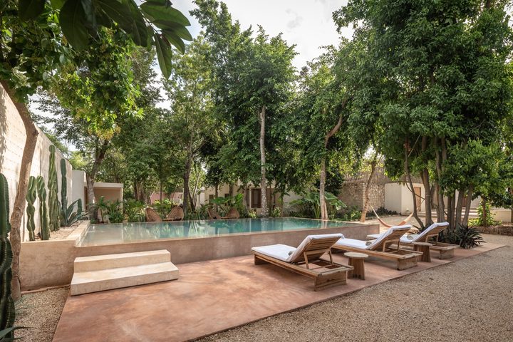 La piscine de Casona Los Cedros parmi les grands arbres du jardin, avec des transats en bois et des cactus le long du mur.